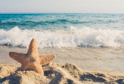 Om nieuwe appartementen in Orihuela Costa - Spanje te kopen, moet u van de zon en het strand houden
