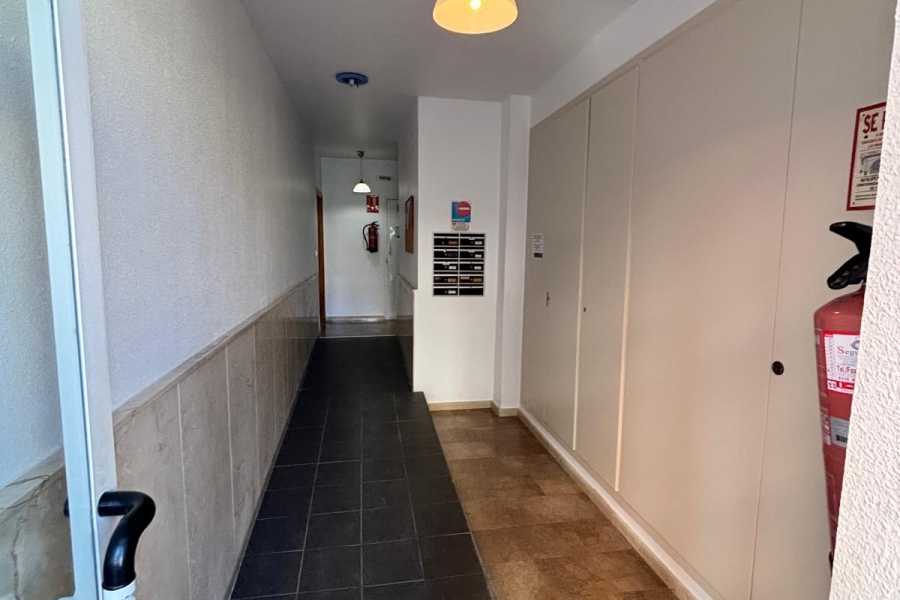 Re-Sale - Apartment - Almoradi - Almoradi - Town