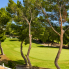 Re-Sale - Detached Villa - Orihuela Costa - Las Ramblas