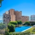 Re-Sale - Apartment - Arenales del Sol - Arenales del Sol - Town