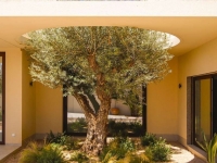New - Detached Villa - La Marina - La Escuera