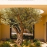 New - Detached Villa - La Marina - La Escuera