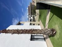New - Townhouse - Torrevieja