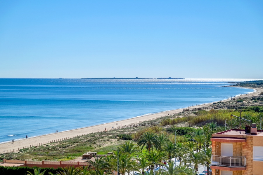 Re-Sale - Apartment - Arenales del Sol - Arenales del Sol - Town