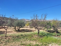 Re-Sale - Detached Villa - La Romana - La Romana - Country