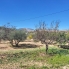 Re-Sale - Detached Villa - La Romana - La Romana - Country