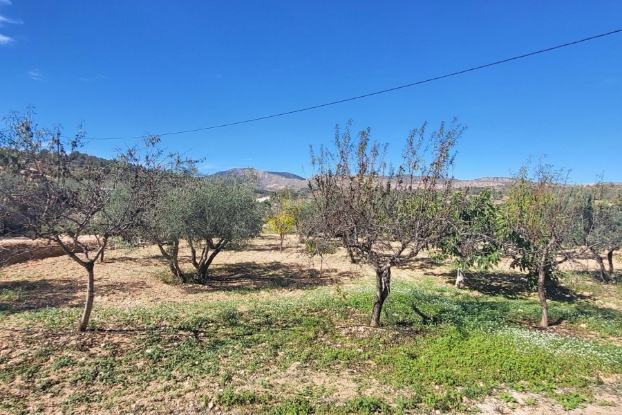Re-Sale - Detached Villa - La Romana - La Romana - Country