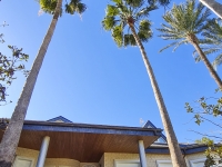 New - Detached Villa - San Pedro del Pinatar - San Pedro del Pinatar - Town