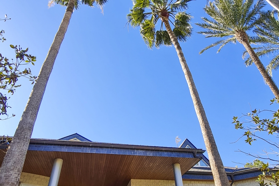 New - Detached Villa - San Pedro del Pinatar - San Pedro del Pinatar - Town