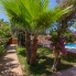 Re-Sale - Detached Villa - Orihuela Costa - Punta Prima