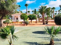 New - Country Property - Catral - Catral - Country