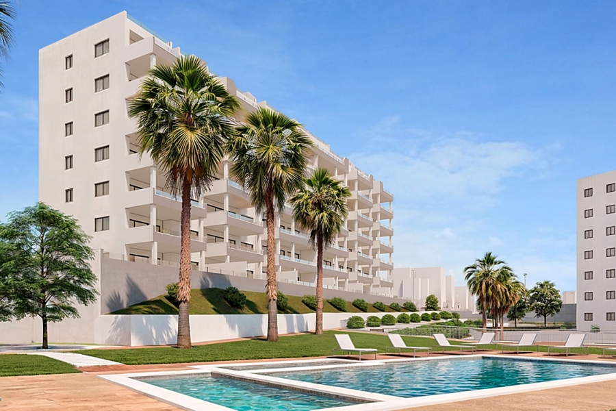 New - Apartment - San Miguel de Salinas - San Miguel - Town