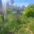 Re-Sale - Detached Villa - La Romana - La Romana - Country