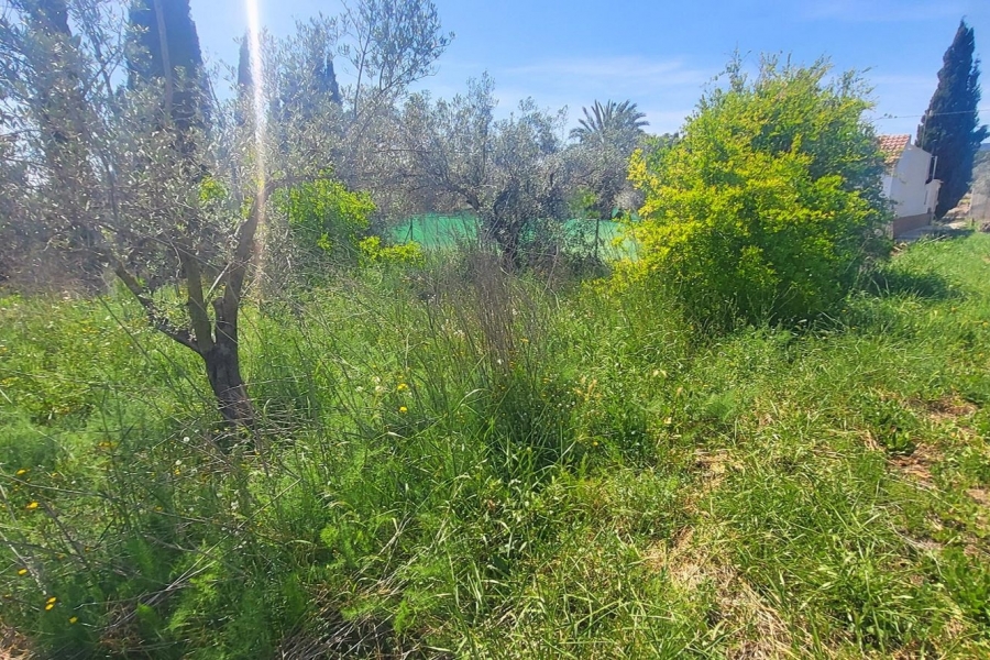 Re-Sale - Detached Villa - La Romana - La Romana - Country
