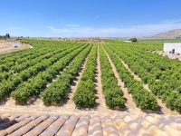Re-Sale - Apartment - Algorfa - Algorfa - Village