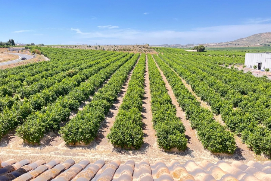 Re-Sale - Apartment - Algorfa - Algorfa - Village