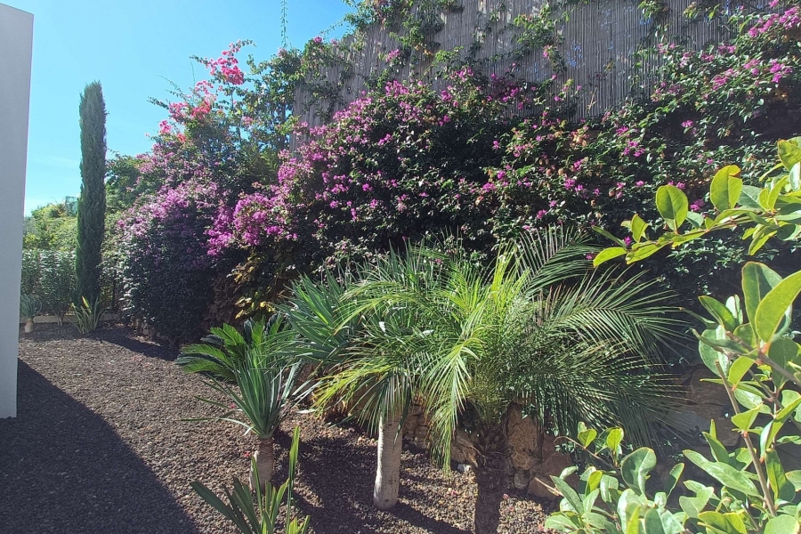 Re-Sale - Detached Villa - Algorfa - La Finca Golf Resort