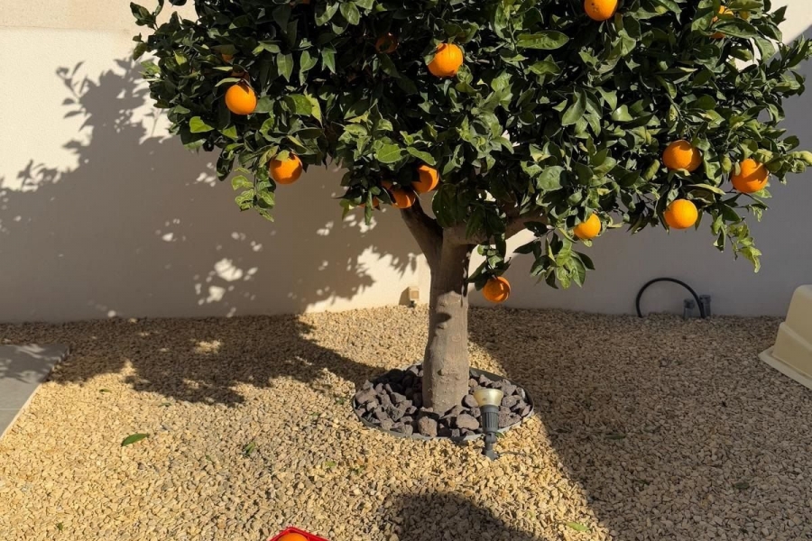 Re-Sale - Detached Villa - Ciudad Quesada - La Marquesa