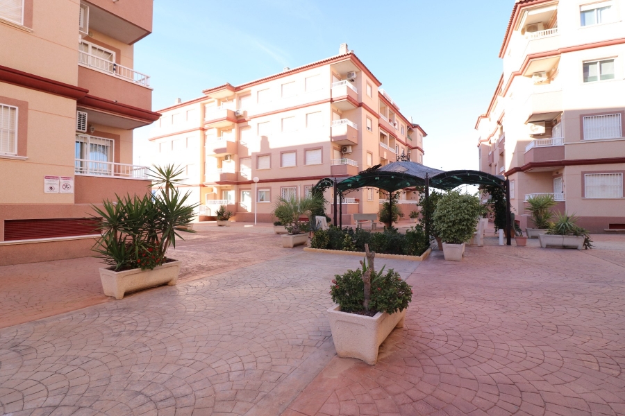 Re-Sale - Apartment - Algorfa - Algorfa - Village