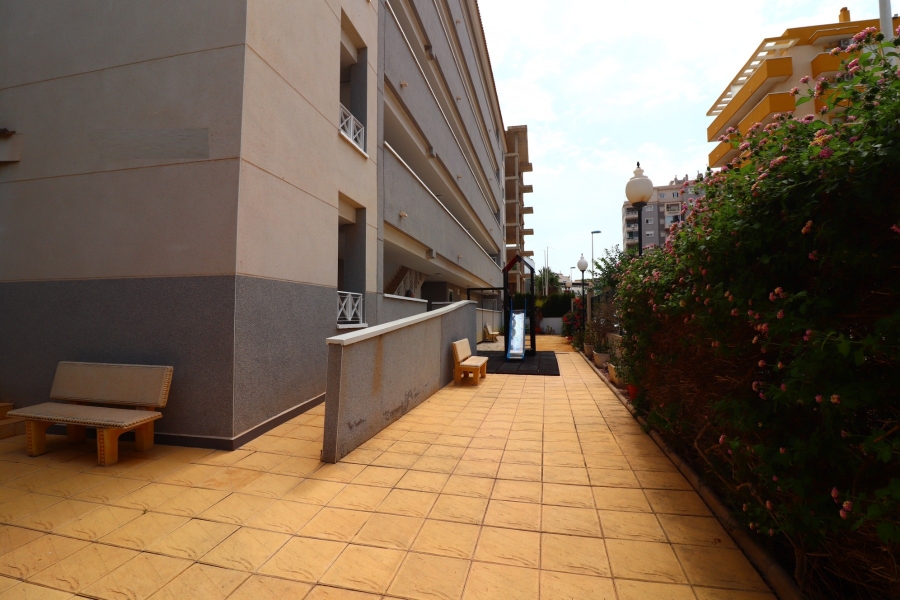 Re-Sale - Apartment - Guardamar del Segura - Guardamar del Segura - Town