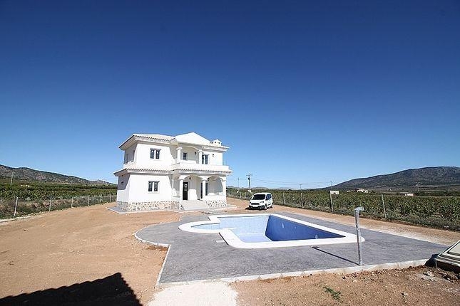 New - Detached Villa - Pinoso - Camino Del Prado