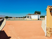 New - Country Property - Catral - Catral - Country