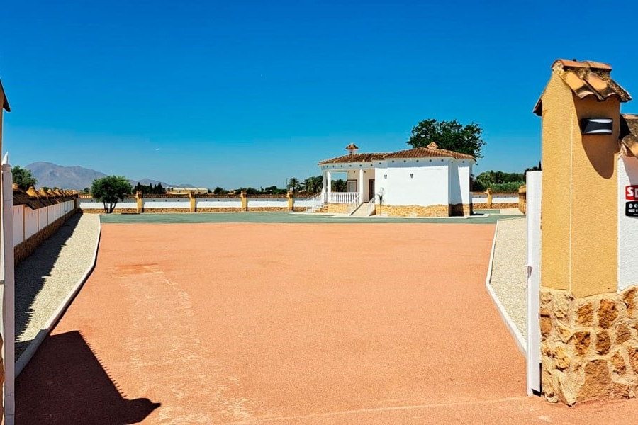 New - Country Property - Catral - Catral - Country
