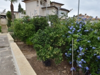 Re-Sale - Detached Villa - Algorfa - Montemar