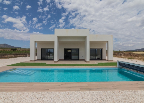 Detached Villa - New - Pinoso - Campo