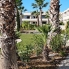Re-Sale - Apartment - Torrevieja - La Veleta