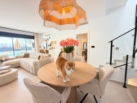 Re-Sale - Townhouse - Dolores - Dolores - Town