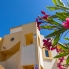Re-Sale - Apartment - Orihuela Costa - Los Altos