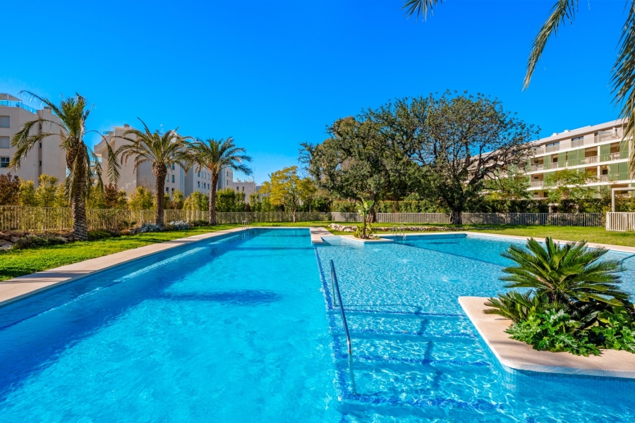 Re-Sale - Apartment - Denia - Denia - Town