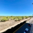 Re-Sale - Apartment - Torrevieja - San Luis