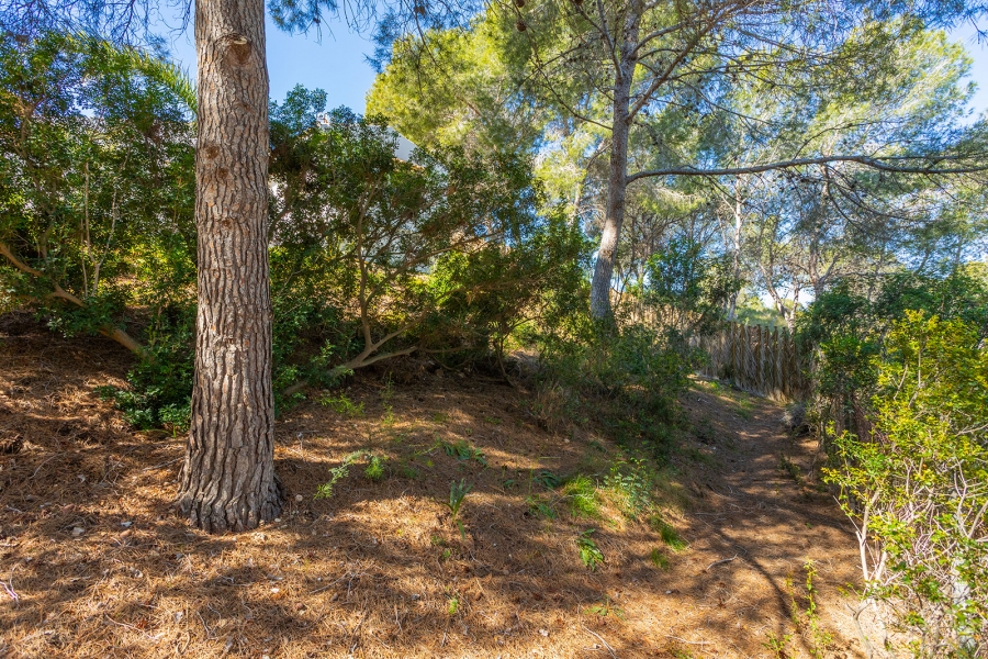 Re-Sale - Detached Villa - Orihuela Costa - Villamartin