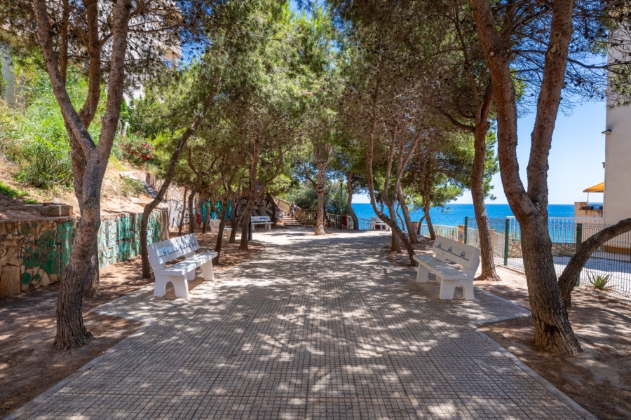 Re-Sale - Apartment - Orihuela Costa - Cabo Roig