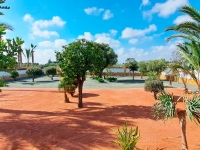 Re-Sale - Country Property - Catral - Catral - Country