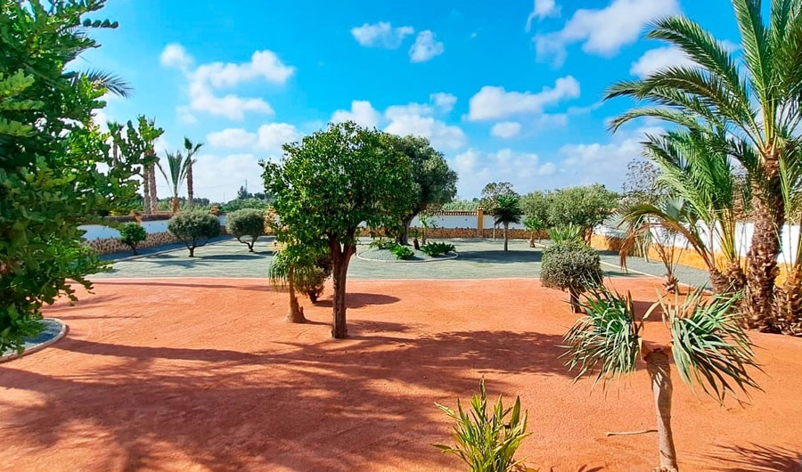 Re-Sale - Country Property - Catral - Catral - Country