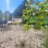 Re-Sale - Detached Villa - La Romana - La Romana - Country