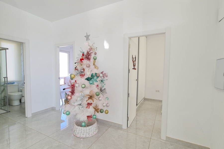 New - Detached Villa - Pinoso - Pinoso - Country