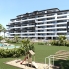 New - Apartment - San Miguel de Salinas - San Miguel - Town