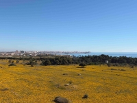 Re-Sale - Apartment - Orihuela Costa - Punta Prima