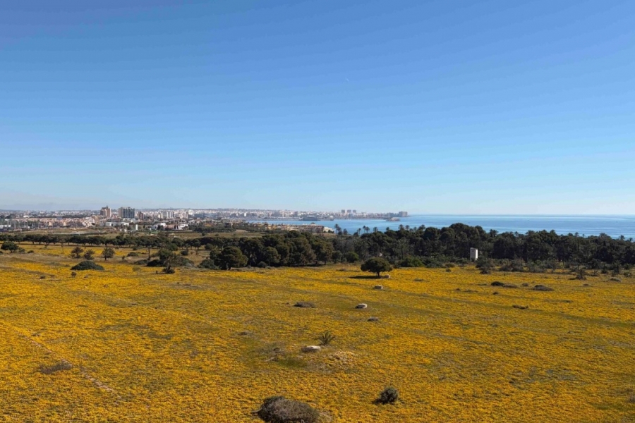 Re-Sale - Apartment - Orihuela Costa - Punta Prima