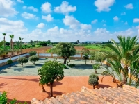 New - Country Property - Catral - Catral - Country
