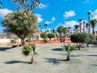 New - Country Property - Catral - Catral - Country