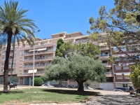 Re-Sale - Apartment - Torrevieja - Torrevieja - Centre