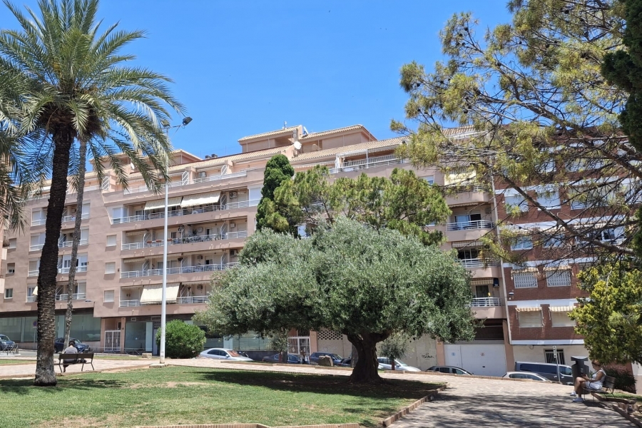 Re-Sale - Apartment - Torrevieja - Torrevieja - Centre