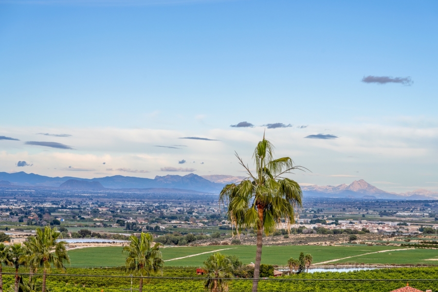 Re-Sale - Detached Villa - Algorfa - Lomas de La Juliana