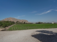 Re-Sale - Country Property - Orihuela - San Bartolome