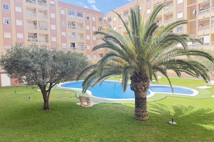 Re-Sale - Apartment - Torrevieja - Torrevieja - Centre